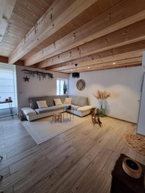 Magnifique Loft à Beaumont entre Genève et Annecy